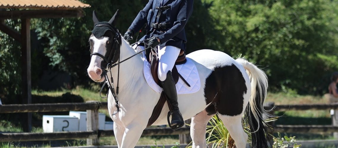 Mathilde et Dana-dressage bischwiller du 29 juin 2025-1