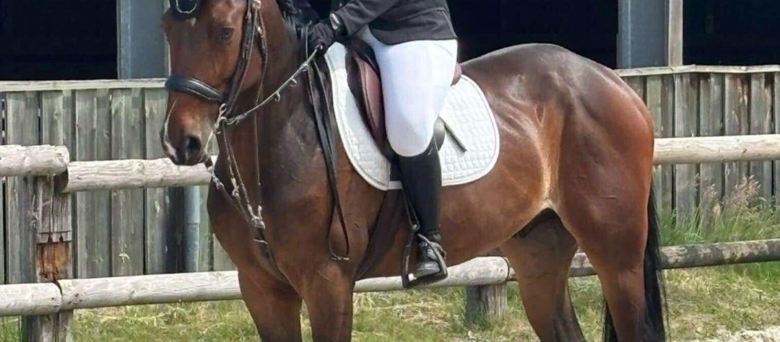 dressage bischwiller mai 2025-3